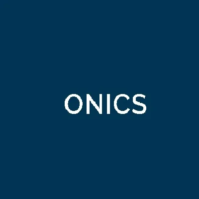 Onics power resistor