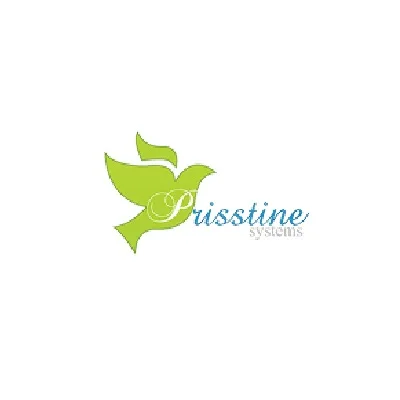 Prisstine Systems
